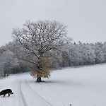 Waldschlößchen *