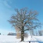 Waldschlößchen *