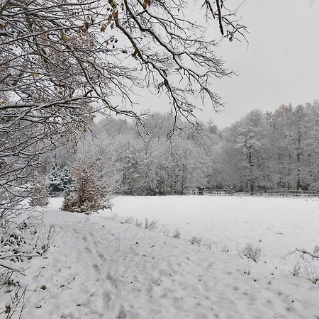 Waldschloesschen Mit Gaststube מלון *