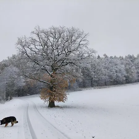 Waldschloesschen Mit Gaststube *