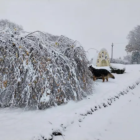 Waldschloesschen Mit Gaststube Sohland an der Spree