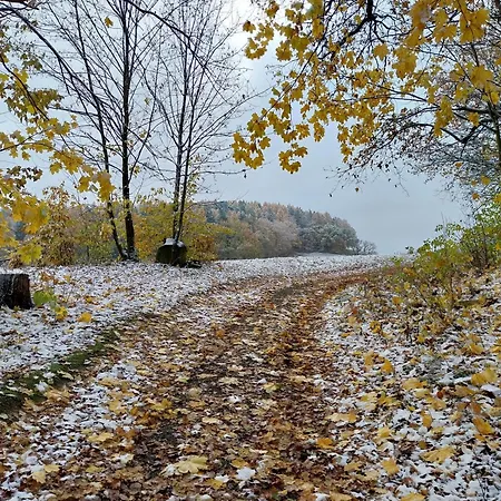 Waldschloesschen Mit Gaststube Sohland an der Spree