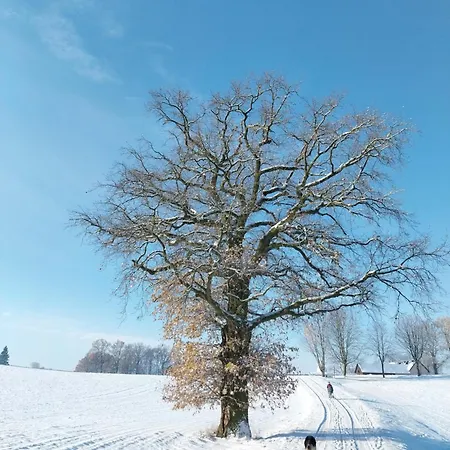 Waldschloesschen Mit Gaststube *