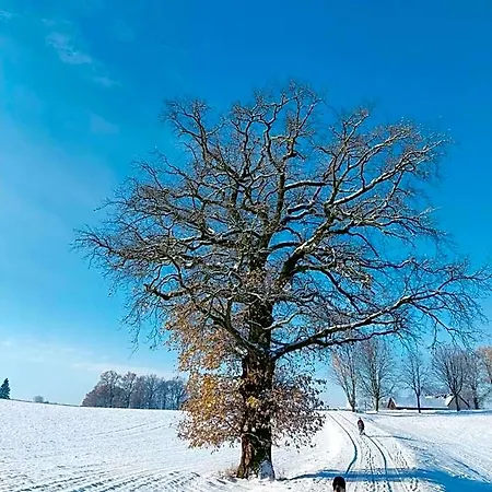 Waldschloesschen Mit Gaststube Hotel
