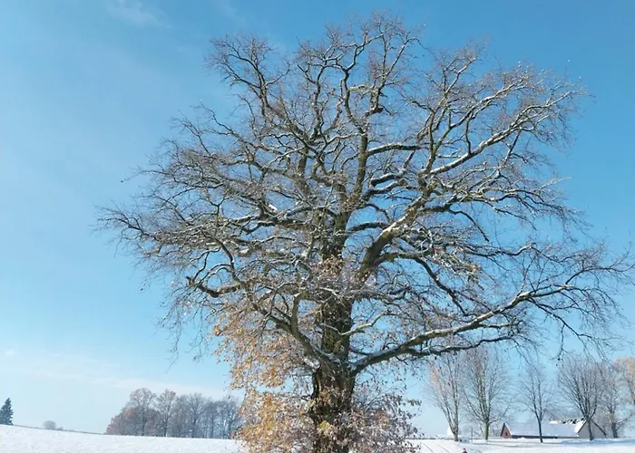 Waldschloesschen Mit Gaststube *